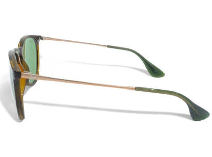 Ray-Ban Ray Ban Erika Sunglasses