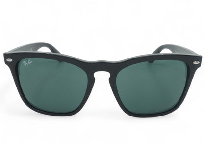Ray-Ban Ray Ban Steve Sunglasses