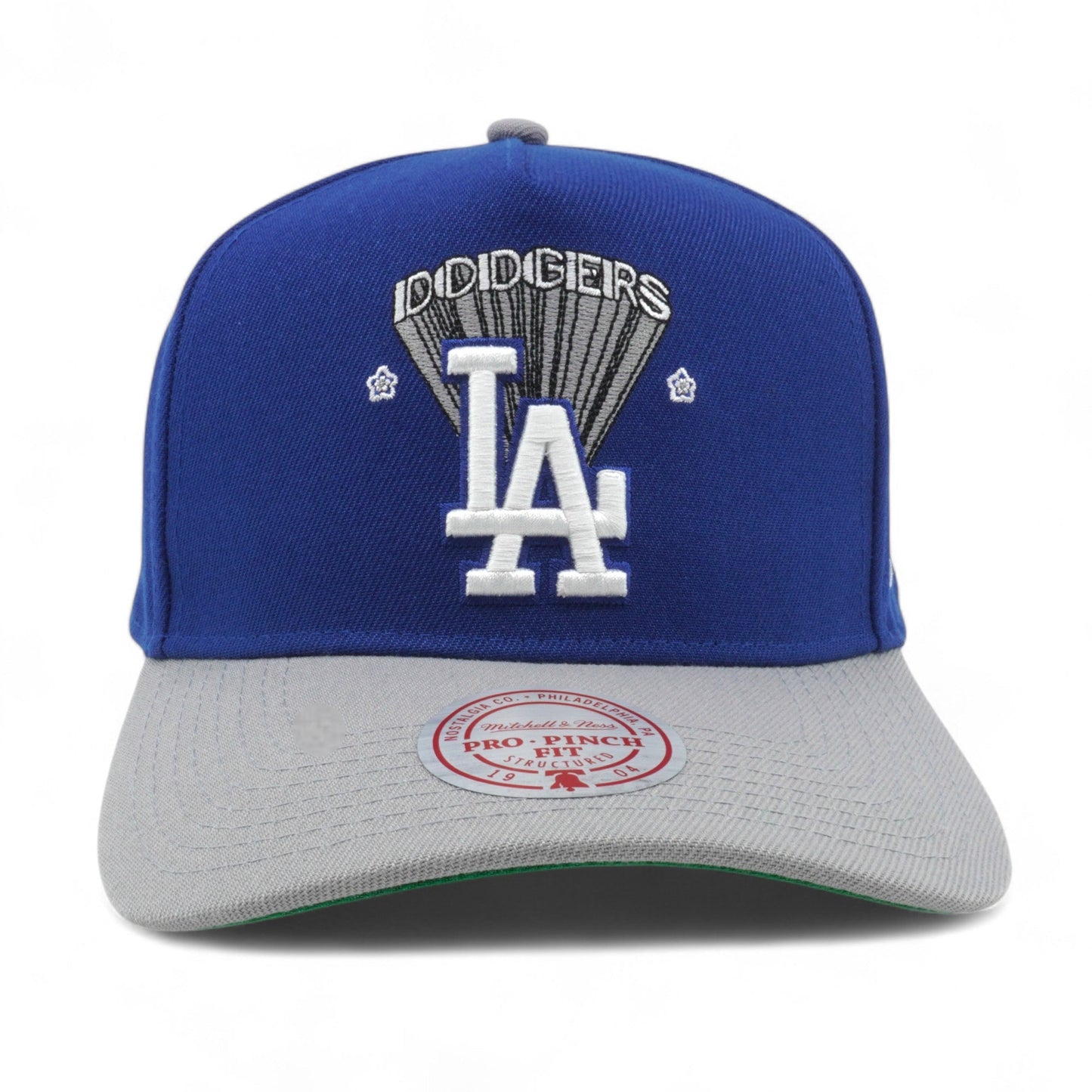 Mitchell & Ness Men's MLB Team Star Pro Snapback Dodgers Snapback Caps