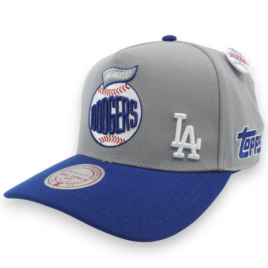 Men's Mitchell & Ness MLB Team Ball Pro Snapback Dodgers - Grey