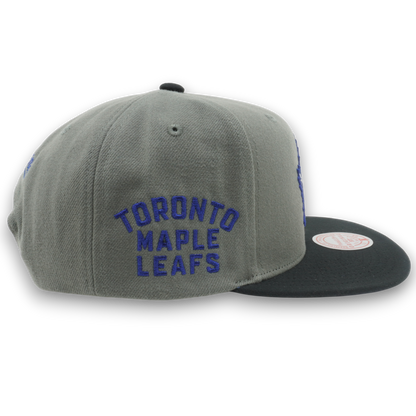 Mitchell & Ness Men's NHL Storm Front Snapback Maple Leafs Grey
