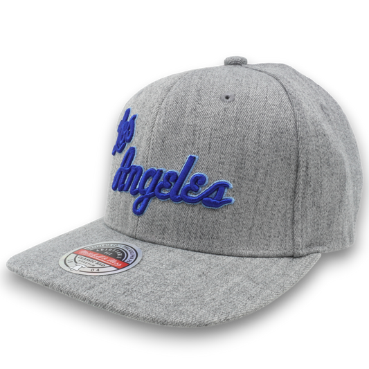 Mitchell & Ness Men's NBA Team Heather 2.0 Snapback Hwc Lakers Heather