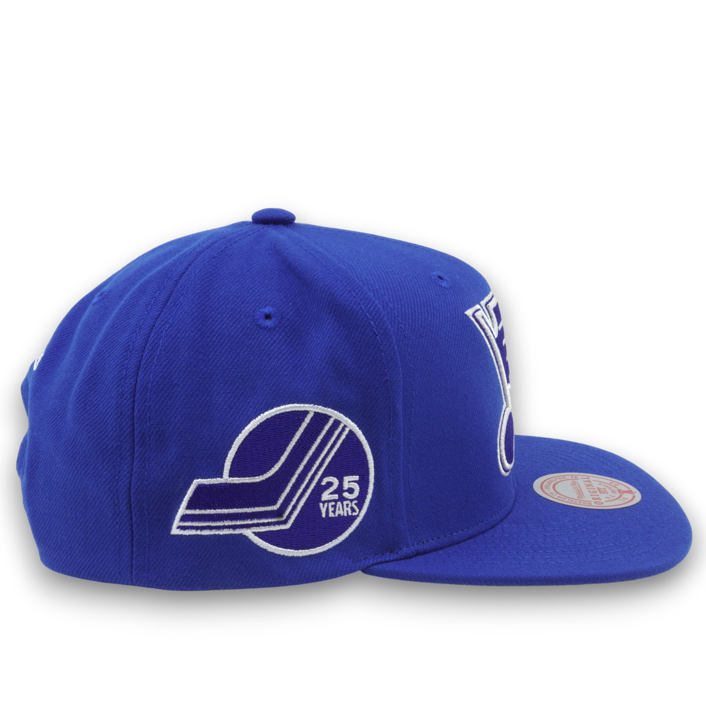 Men's Mitchell & Ness Nhl Back To Basics Snapback Blues - Blue