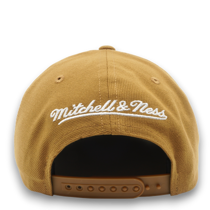 Mitchell & Ness Men's NHL Back To Basics Snapback Knights