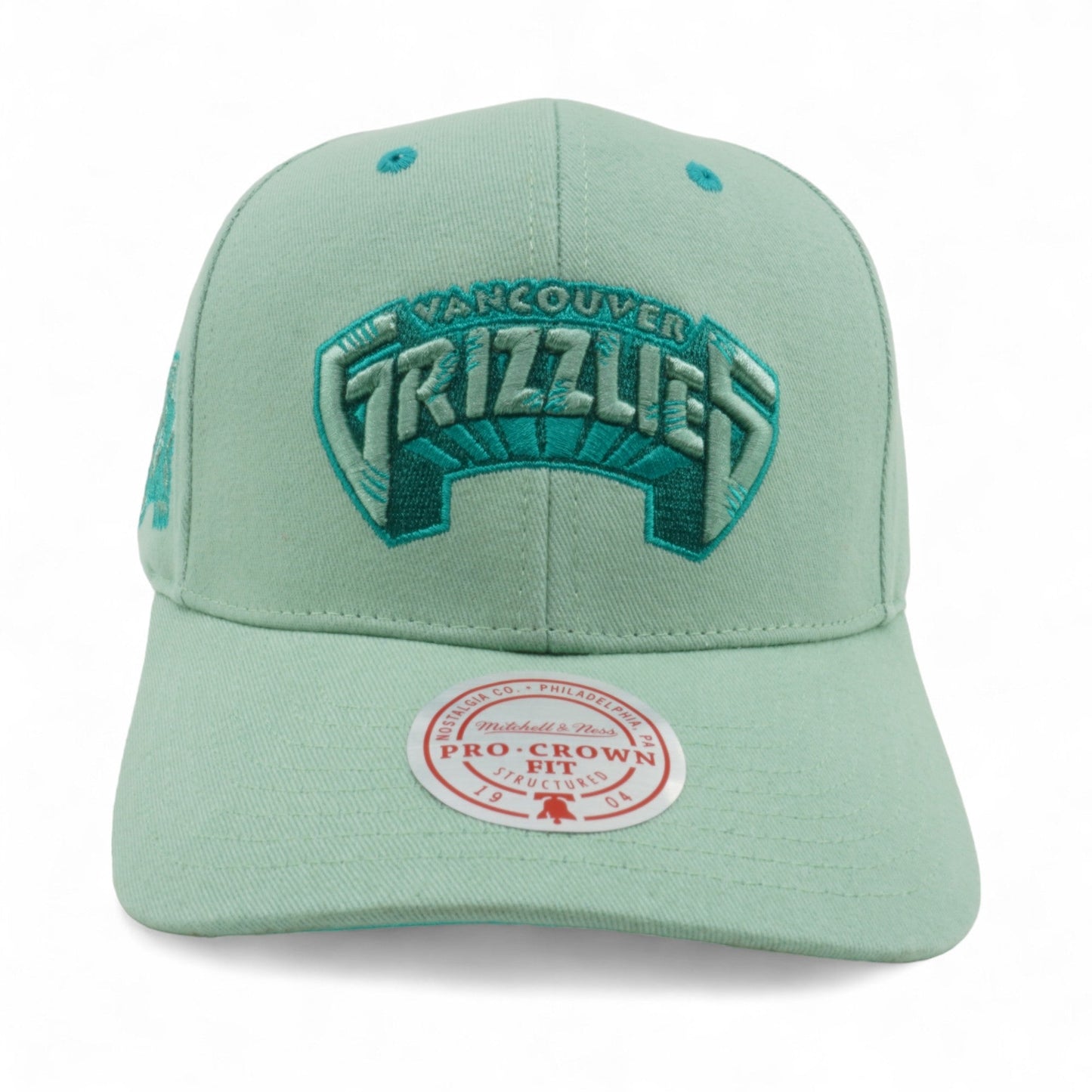 Mitchell & Ness Men's NBA Space Knit Pro Snapback Hwc Grizzlies Snapback Caps