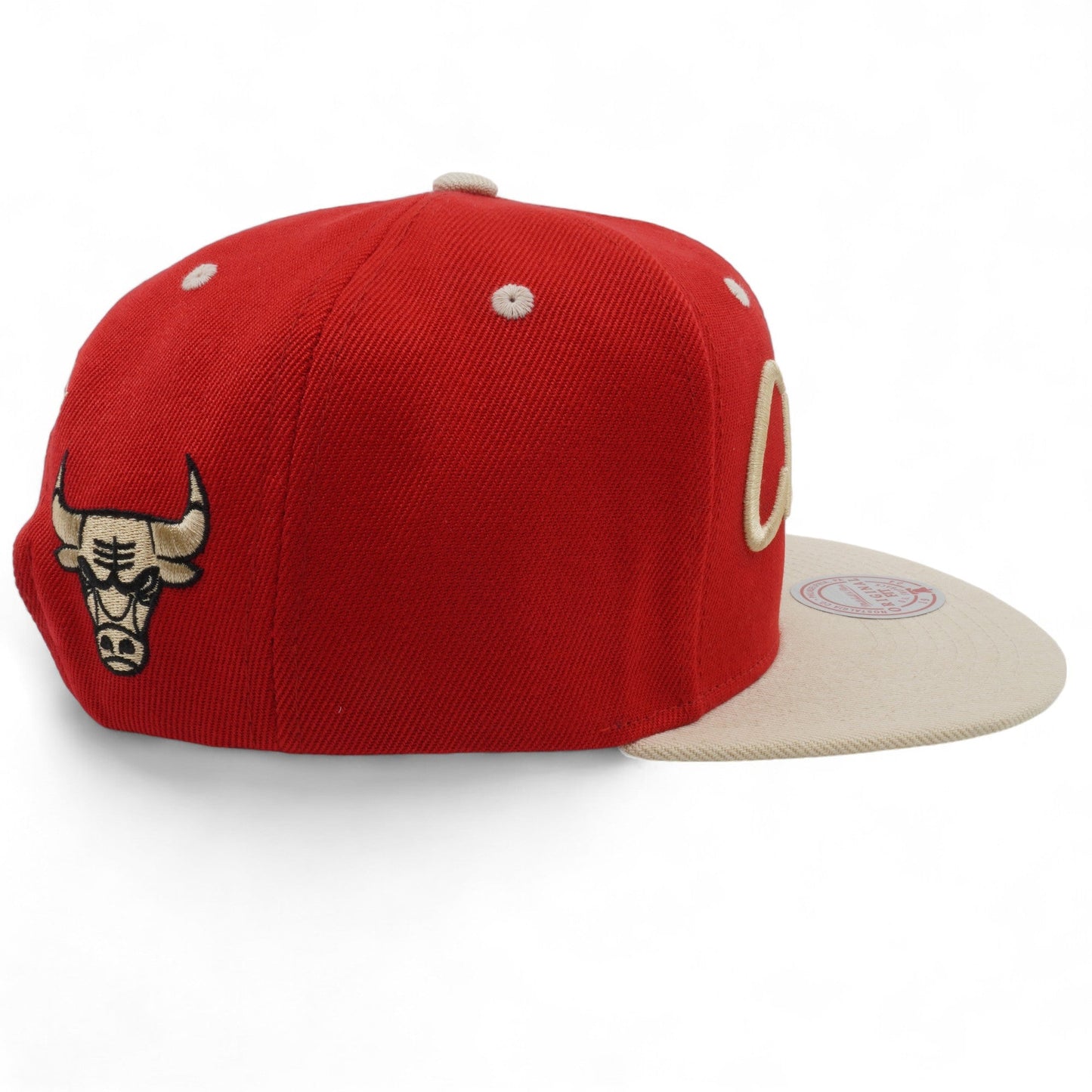 Men's Mitchell & Ness NBA Dtlr Script Snapback Bulls
