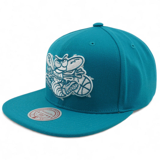 Men's Mitchell & Ness NBA Back To Basics Snapback Hwc Hornets