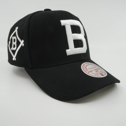Mitchell & Ness Men's MLB Panda Pro Snapback Coop Dodgers Snapback Caps