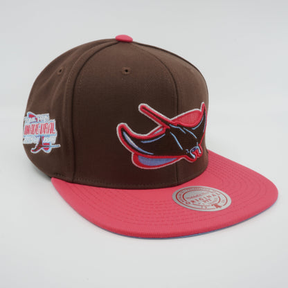 Mitchell & Ness Men's MLB The Damn Snapback Coop Rays Snapback Caps