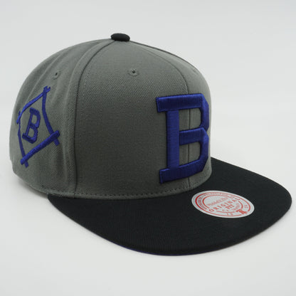 Mitchell & Ness Men's MLB Storm Front Snapback Coop Dodgers Snapback Caps
