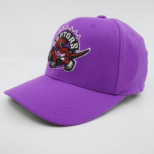 Men's Mitchell & Ness NBA Team Ground 2.0 Stretch Snapback Hwc Raptors - Purple