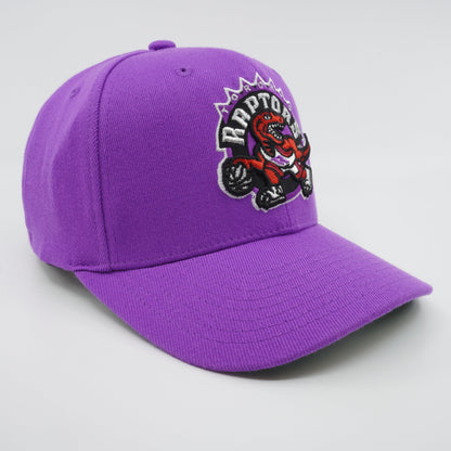 Mitchell & Ness Men's NBA Team Ground 2.0 Stretch Snapback Hwc Raptors Snapback Caps