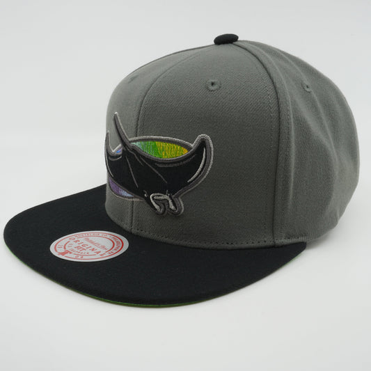 Men's Mitchell & Ness MLB Storm Front Snapback Coop Rays - Grey
