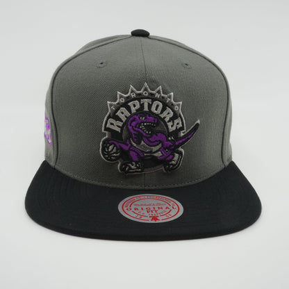 Mitchell & Ness Men's NBA Storm Front Snapback Hwc Raptors Snapback Caps