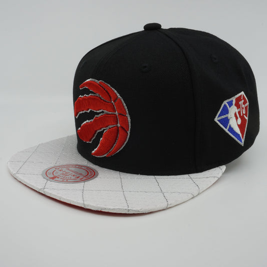Men's Mitchell & Ness NBA 75Th Platinum Snapback Raptors - Black