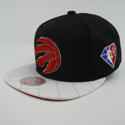 Mitchell & Ness Men's NBA 75Th Platinum Snapback Raptors Snapback Caps