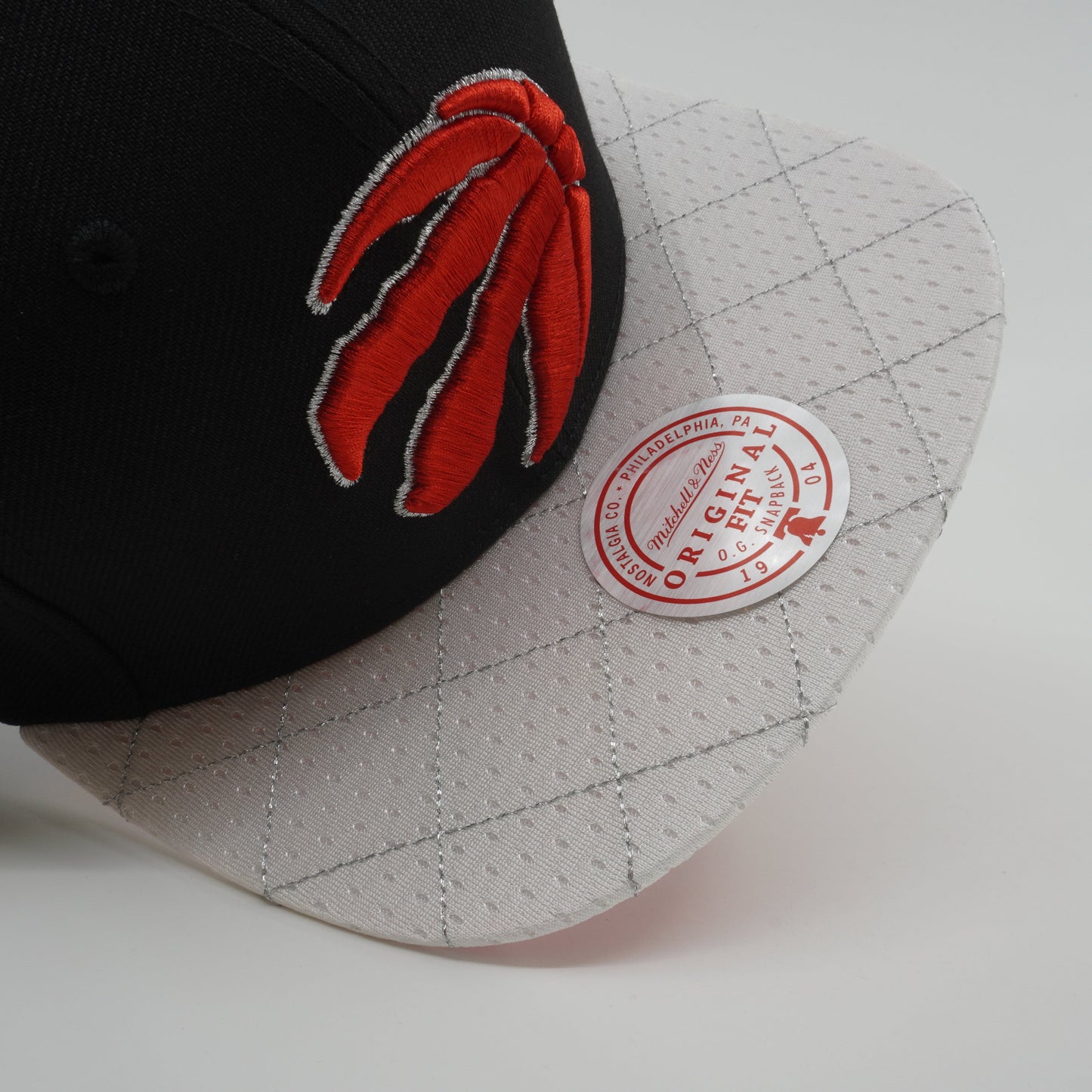 Men's Mitchell & Ness NBA 75Th Platinum Snapback Raptors - Black