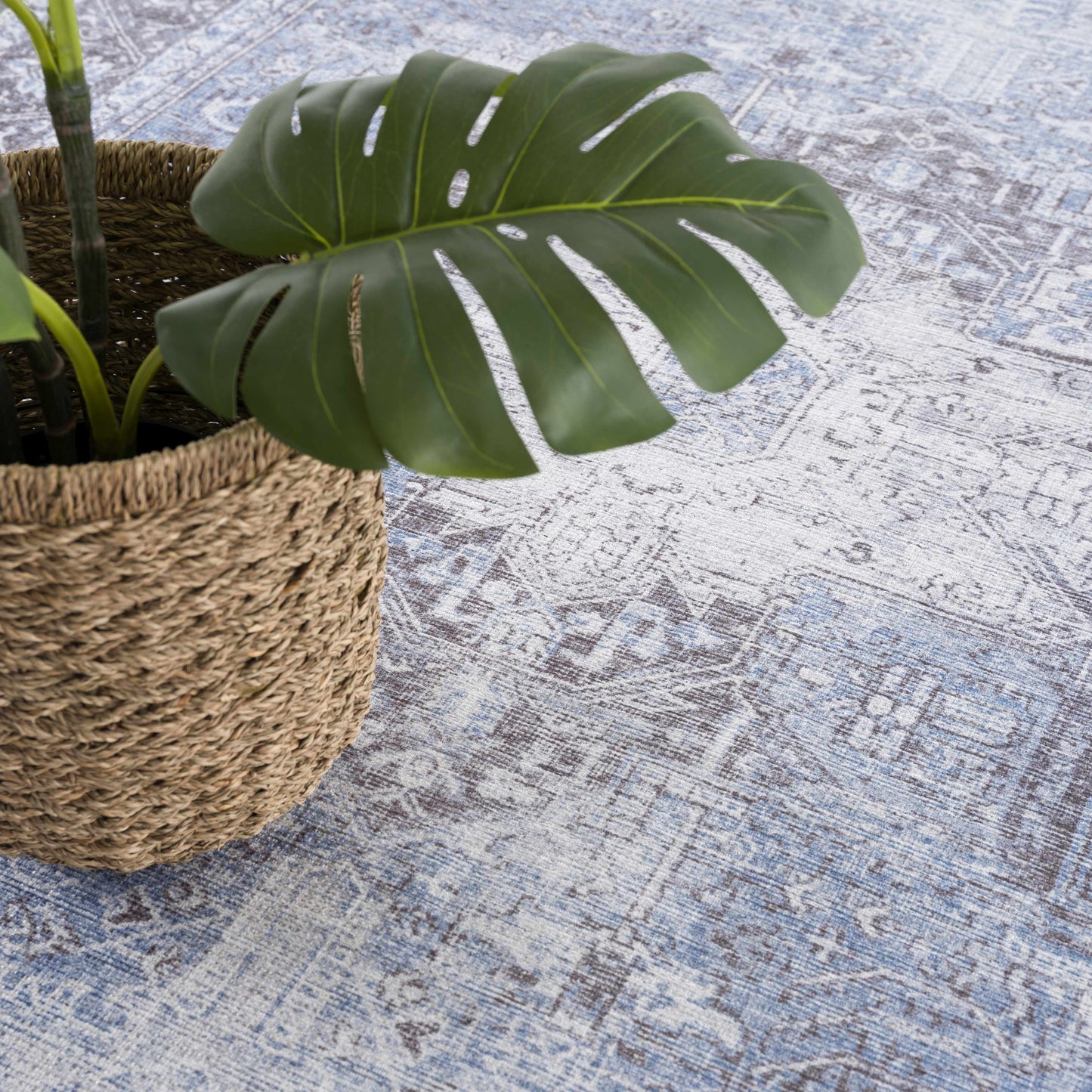 Pays Area Rug - Clearance