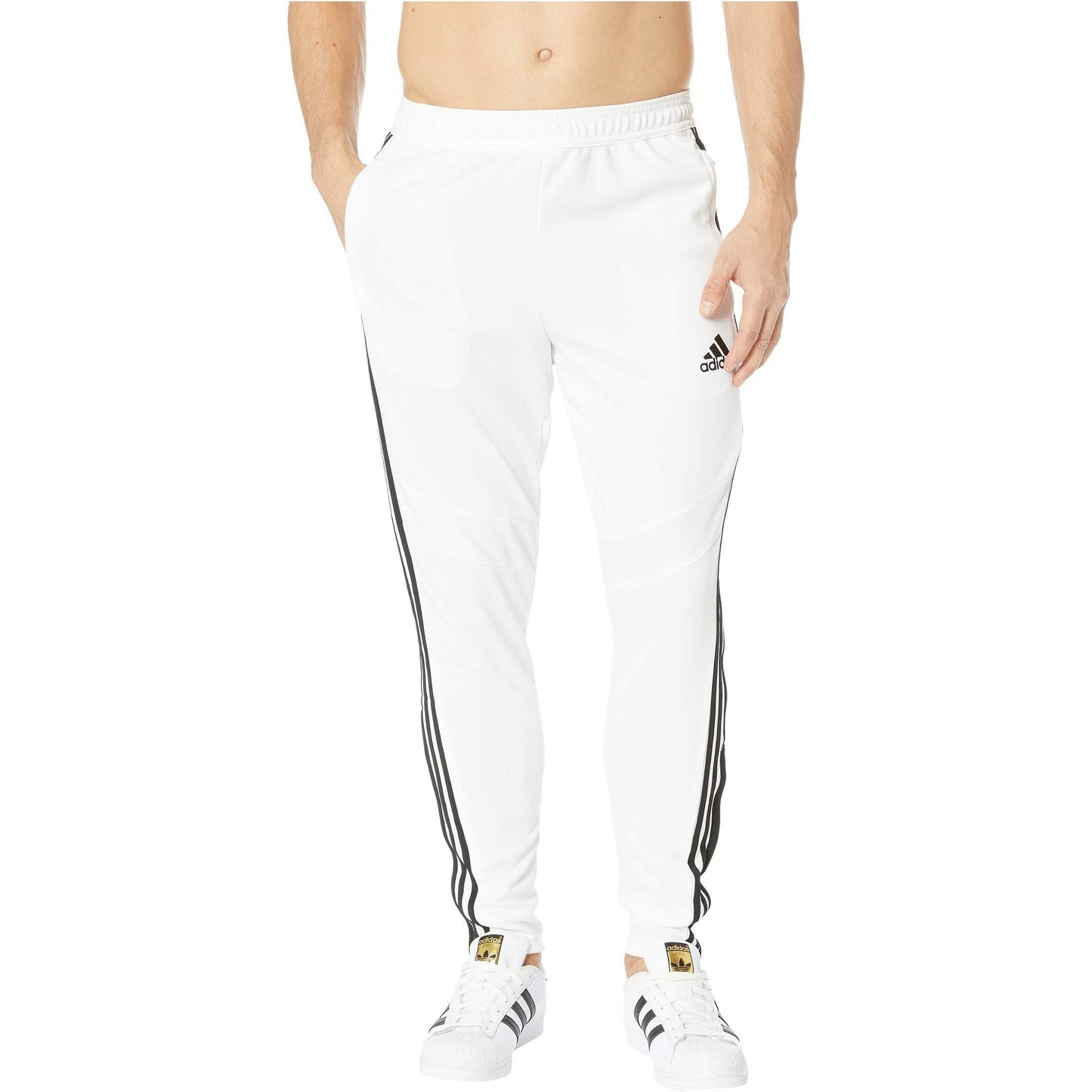 adidas Tiro19 Training Pant