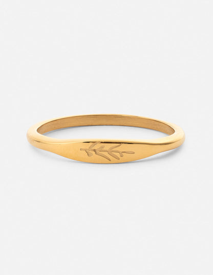 Elevated Faith Dainty Vine Ring