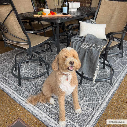 Diah Black & Bone Outdoor Area Rug - Clearance