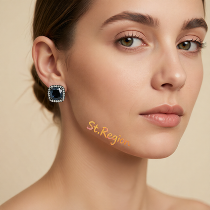 Black Princess Crystal & Blacktone Halo Stud Earrings