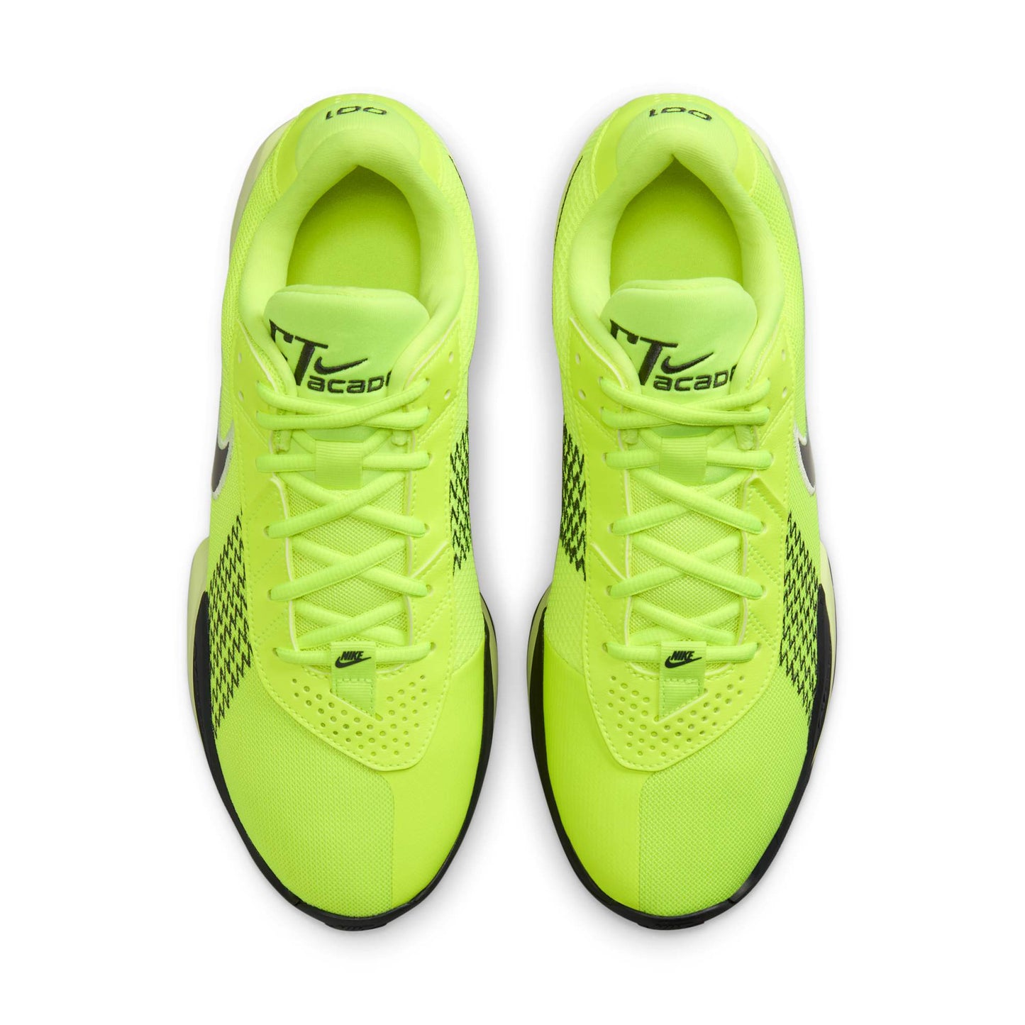 Volt/Barely Volt/Anthracite-