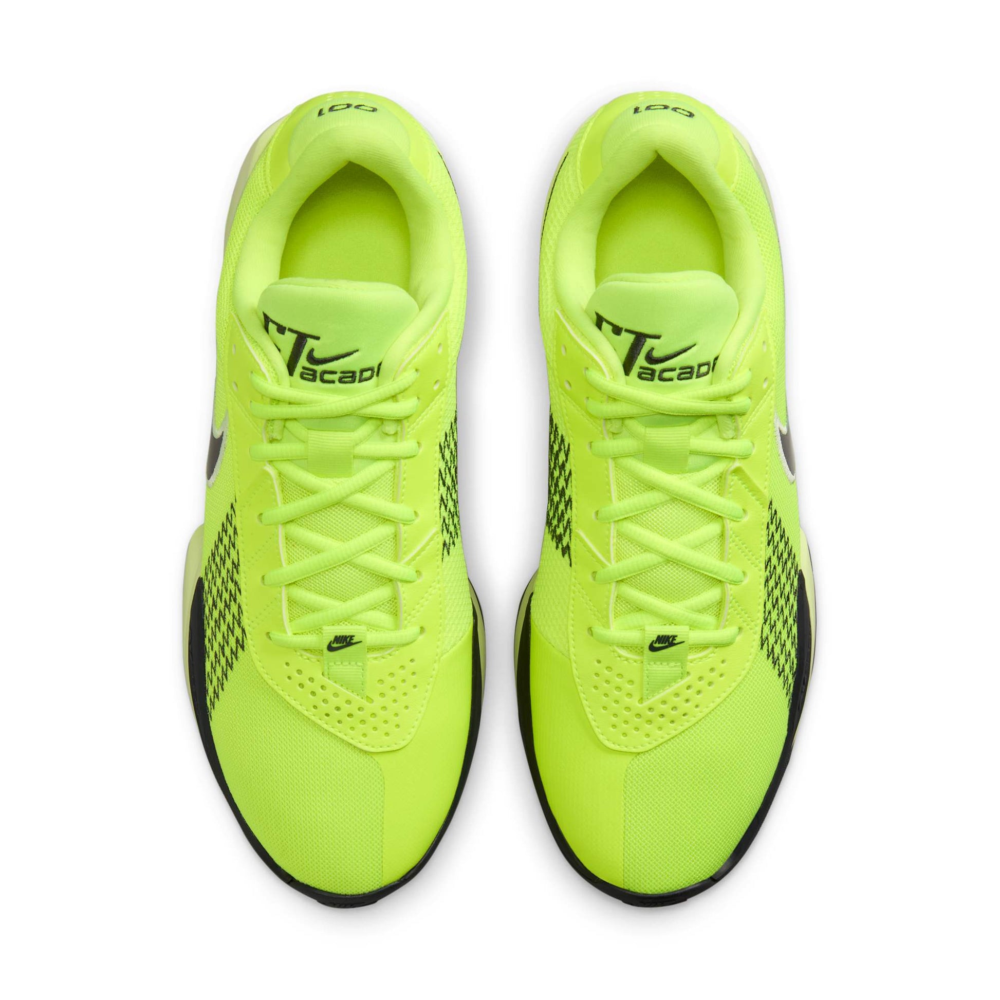 Volt/Barely Volt/Anthracite-