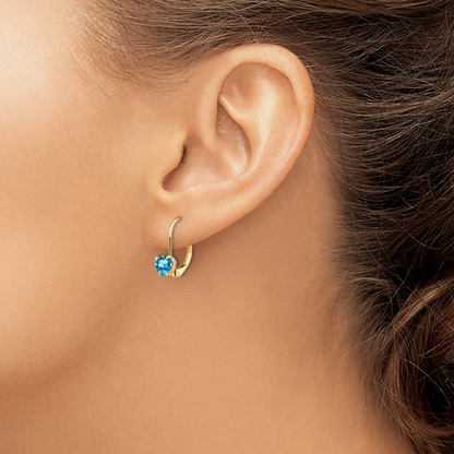 14k Gold Heart Gemstone Leverback Earrings