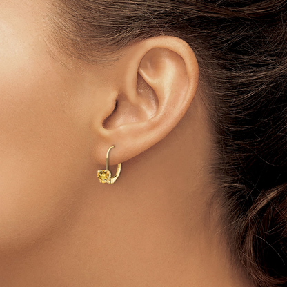 14k Gold Heart Gemstone Leverback Earrings