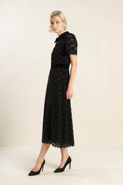 Bold Symphony Woven Lace Midi Dress