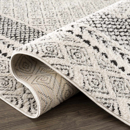 Julio Area Rug
