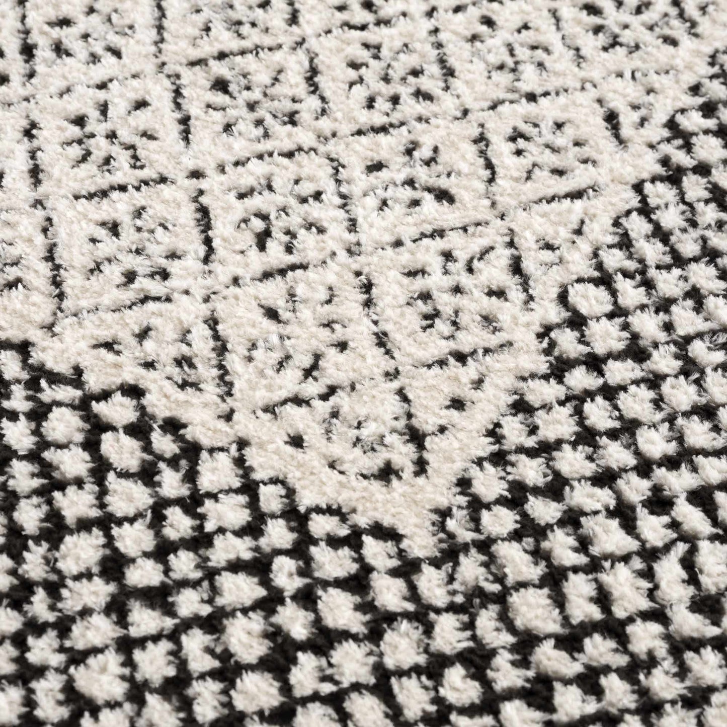 Julio Area Rug