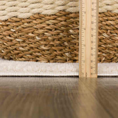 Mahsa Area Rug