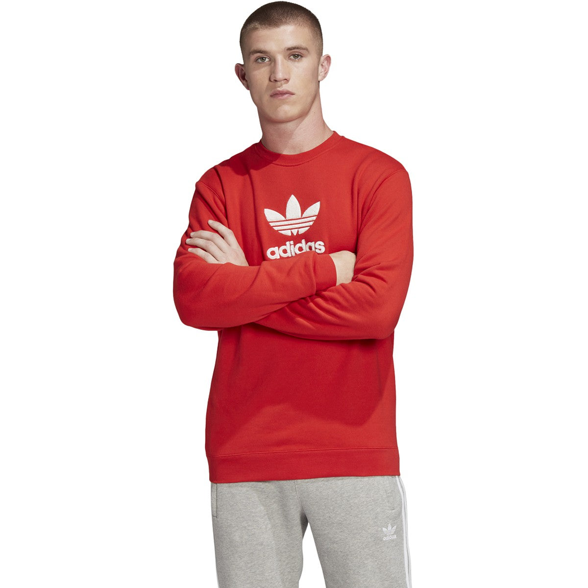 adidas Men's Originals Premium Crewneck