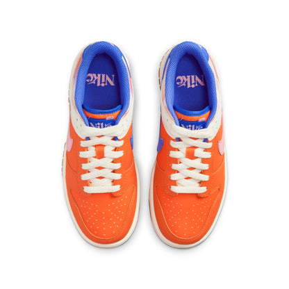 Nike Grade School Dunk Low Se 'Everything You Need' Gs Sneakers