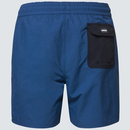 Oakley Men's All Day 16 Beach Short Shorts