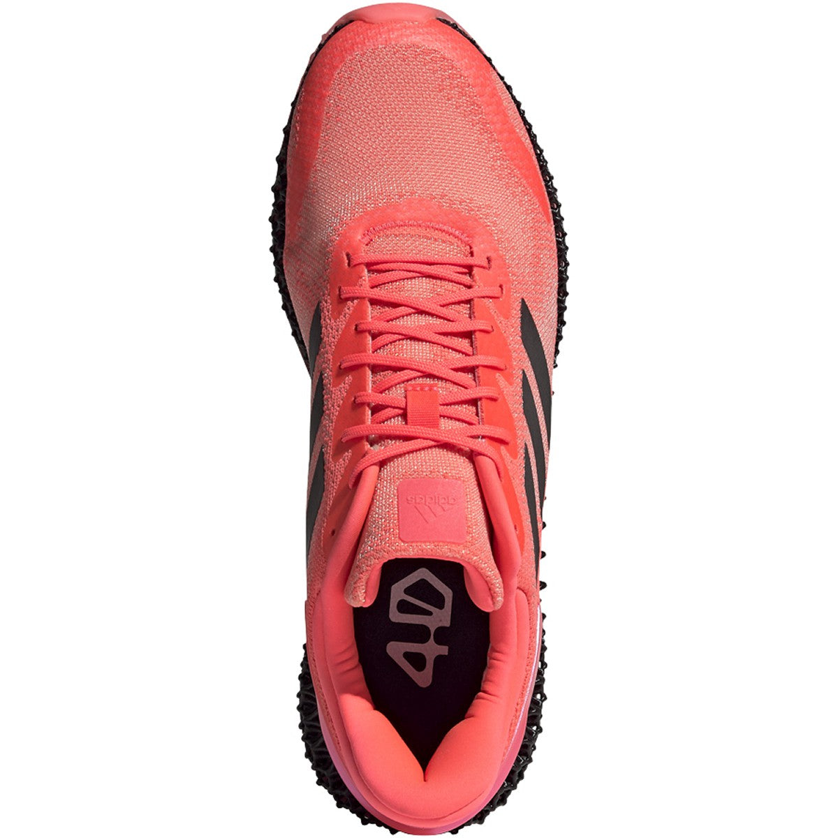 Sigpnk,Cblack,Ltflor-