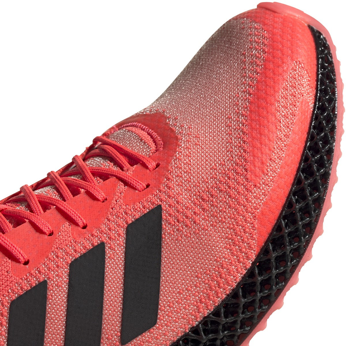 Sigpnk,Cblack,Ltflor-