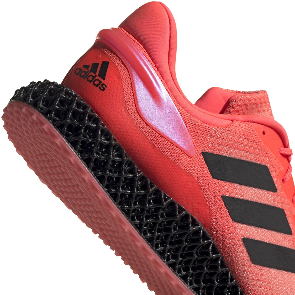 Sigpnk,Cblack,Ltflor-