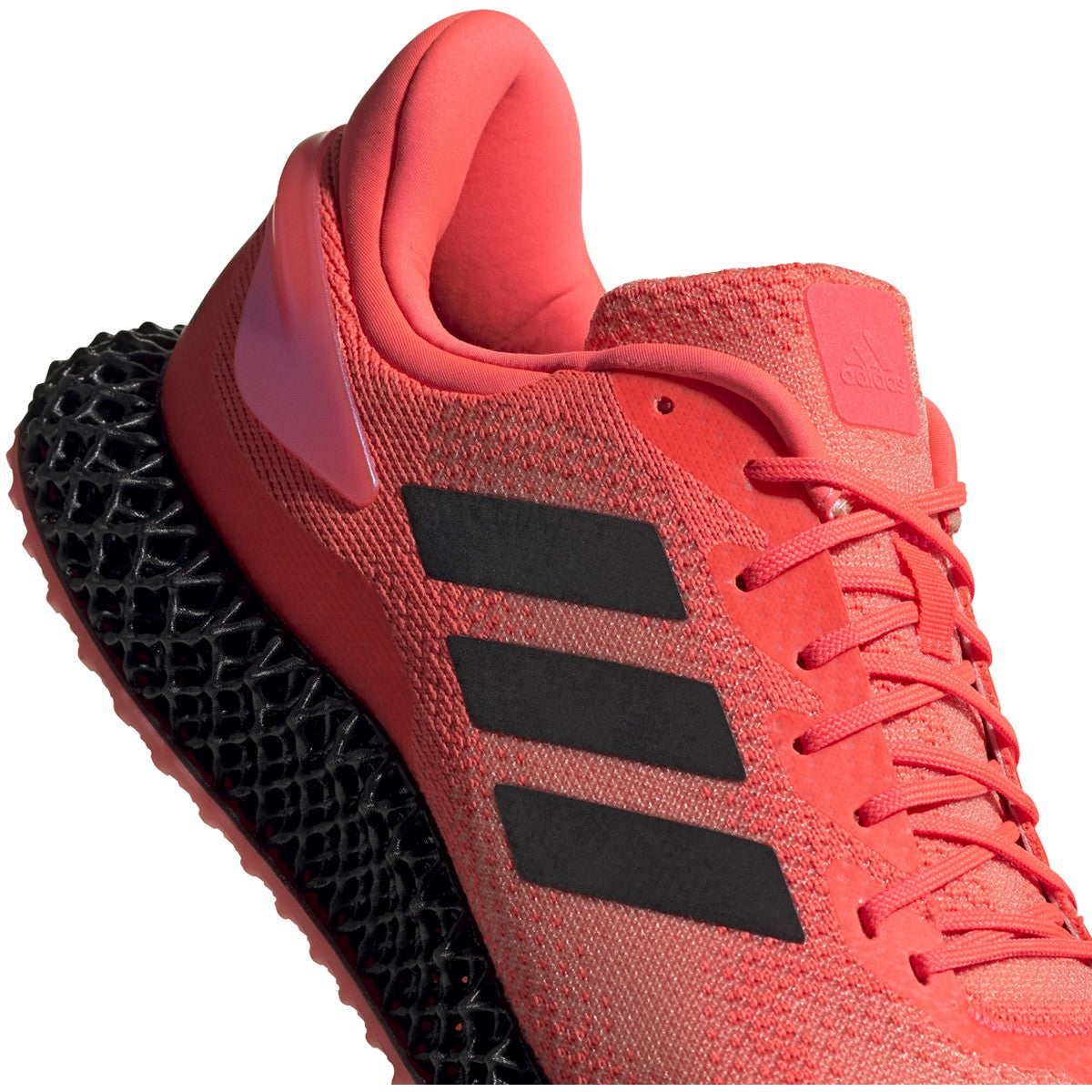 Sigpnk,Cblack,Ltflor-