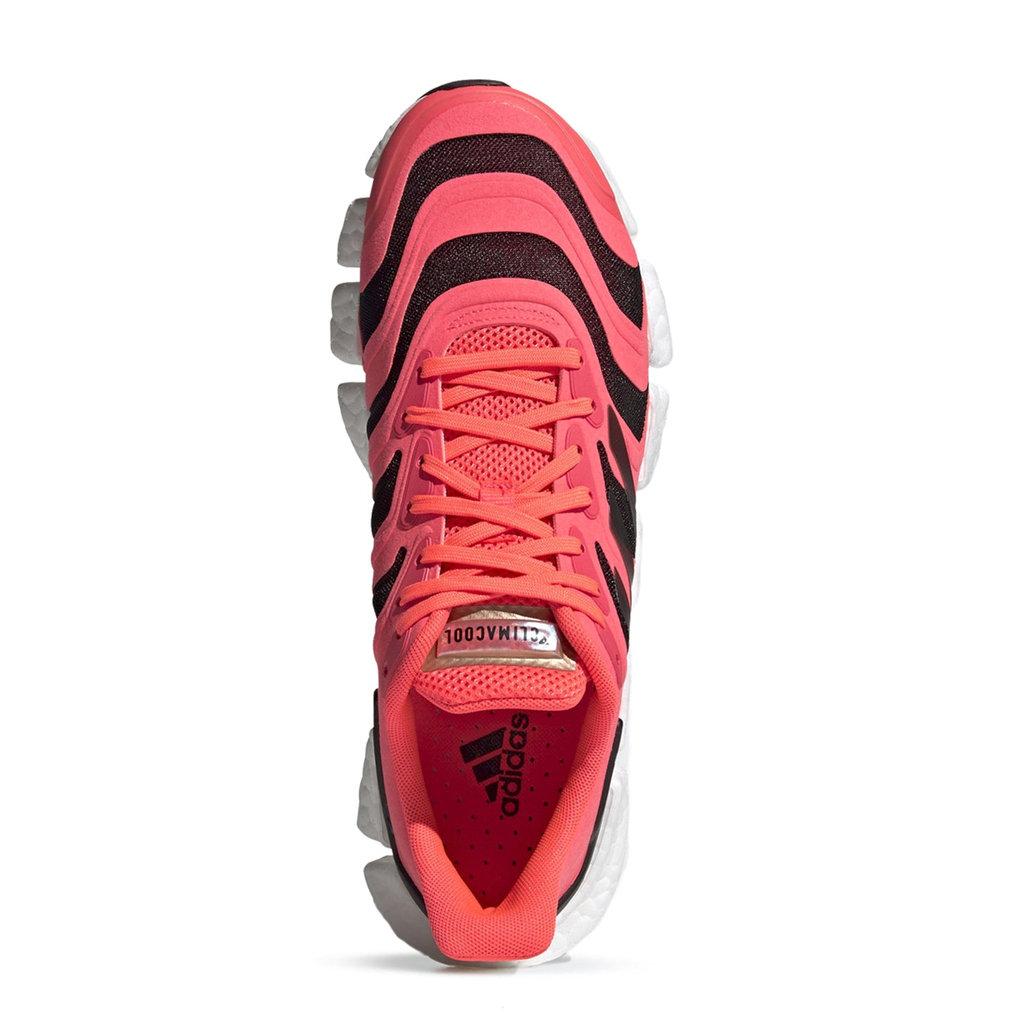 Sigpnk,Cblack,Coppmt-