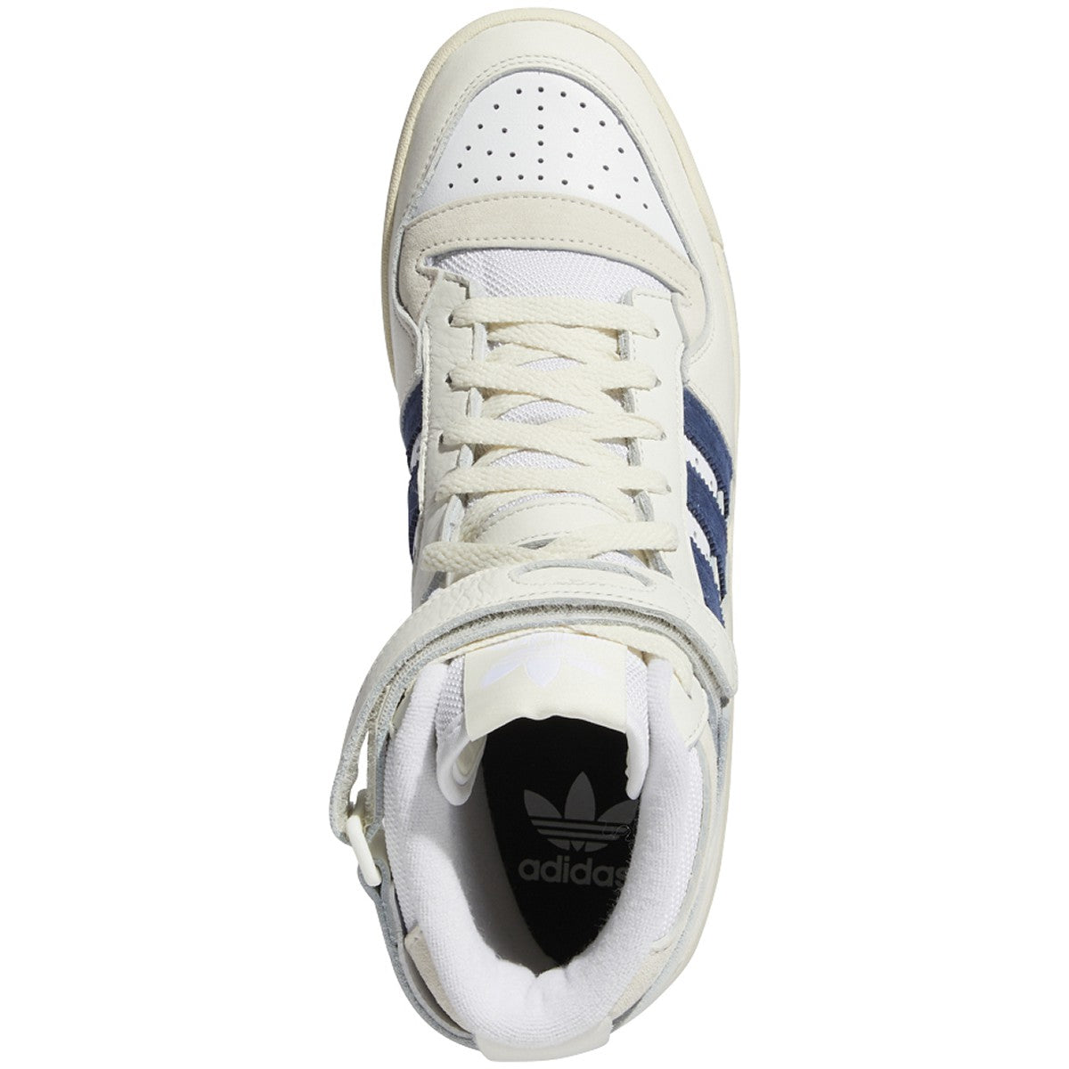 Clowhi,Conavy,Crewht-