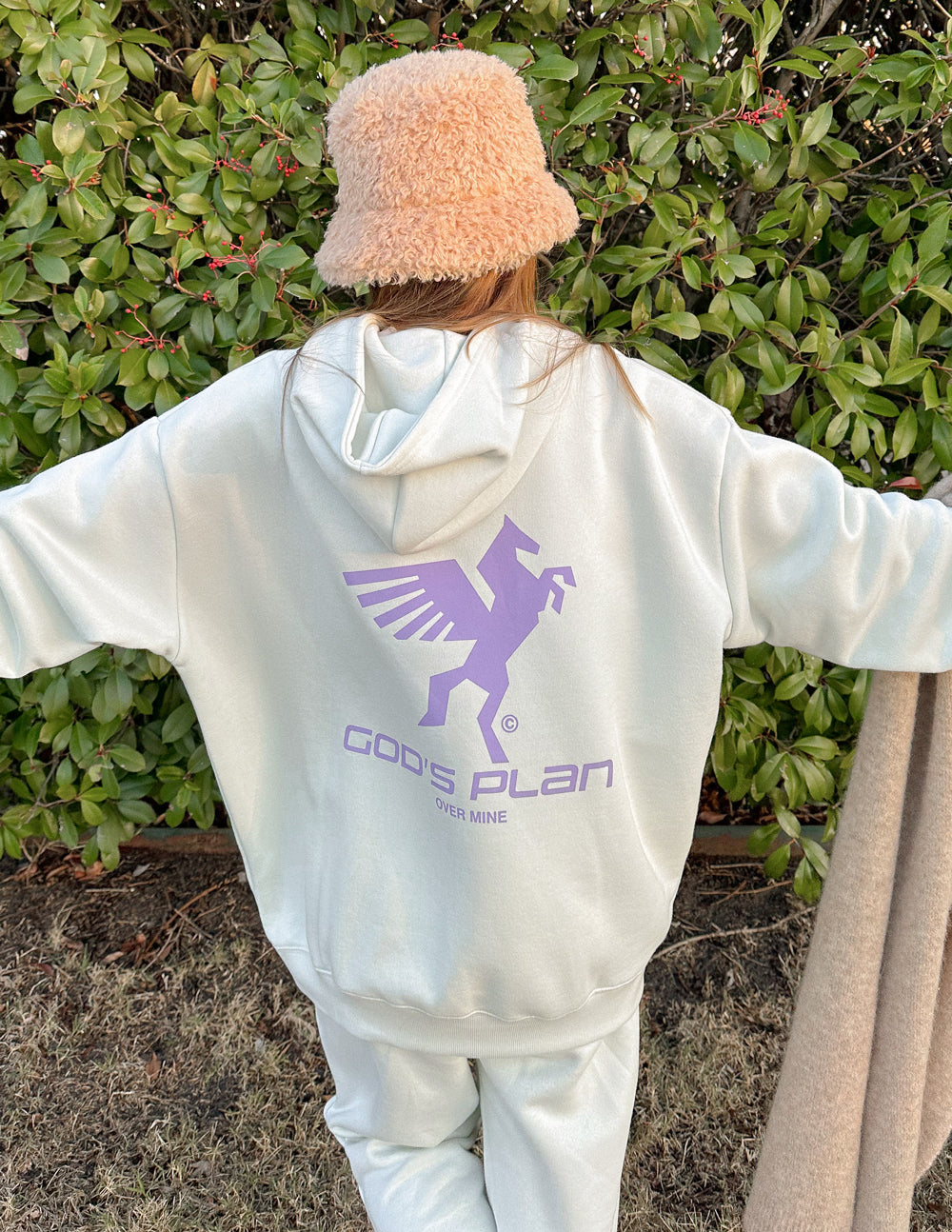 Elevated Faith God's Plan Racing Unisex Hoodie