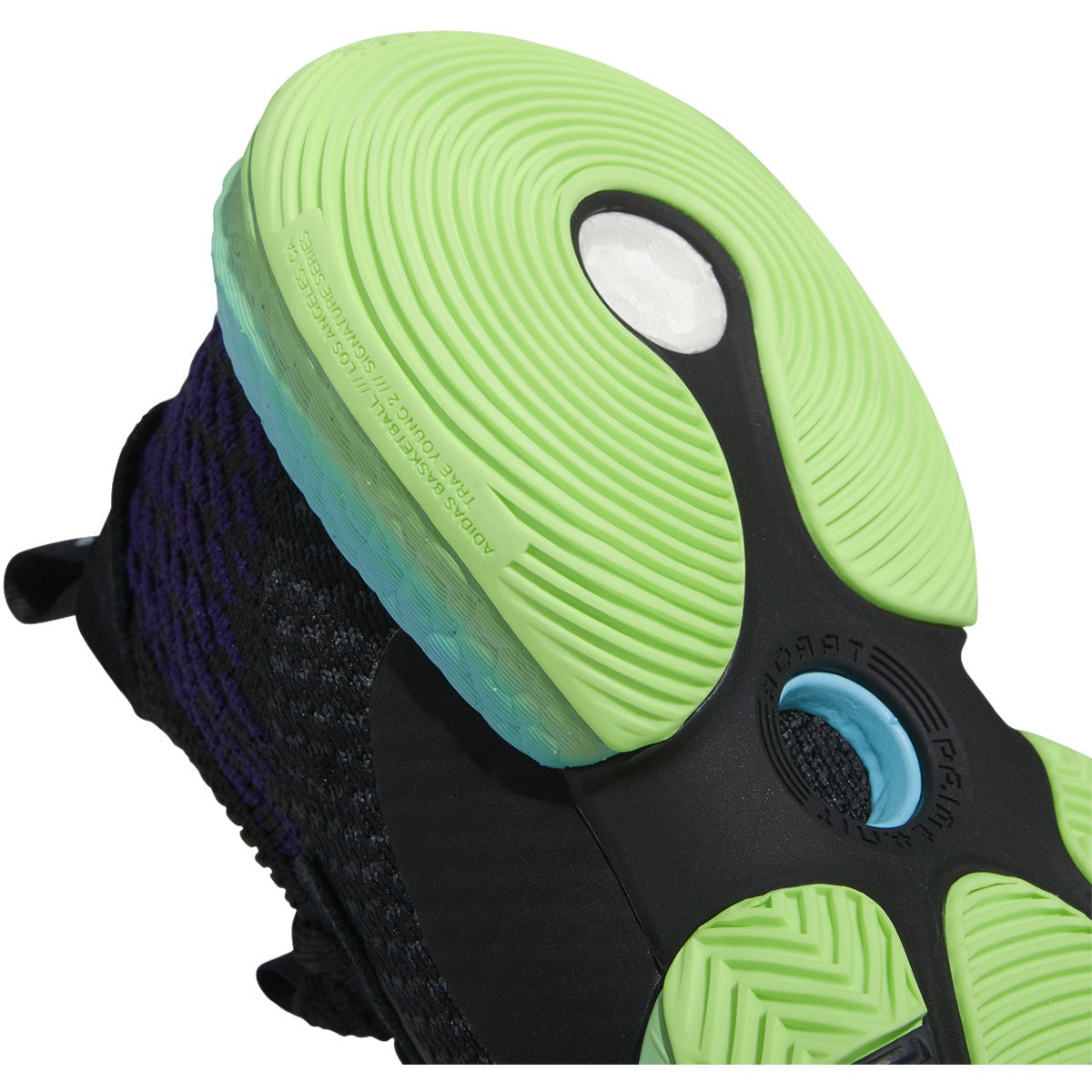 Cblack,Cblack,Tmsogr-