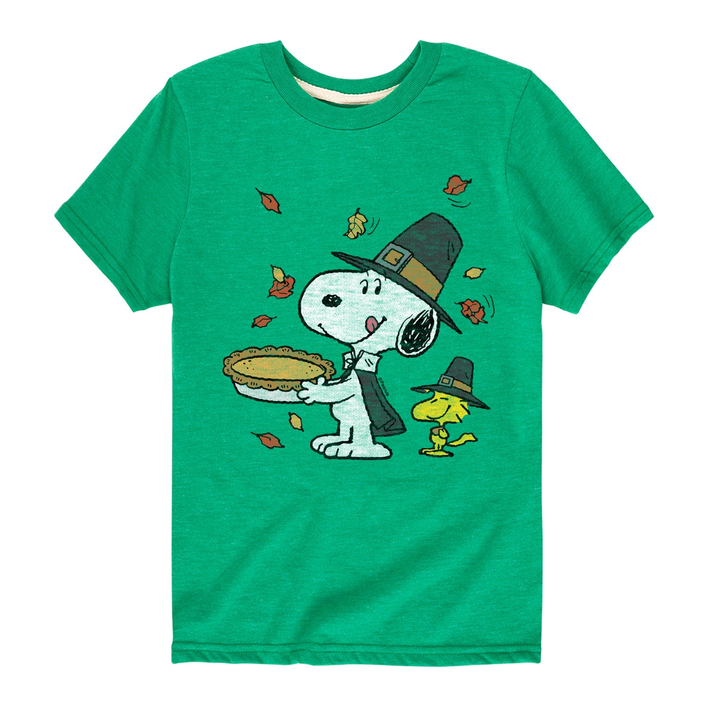 Peanuts - Thanksgiving Scene - Toddler And Youth Short Sleeve Graphic T-Shirt