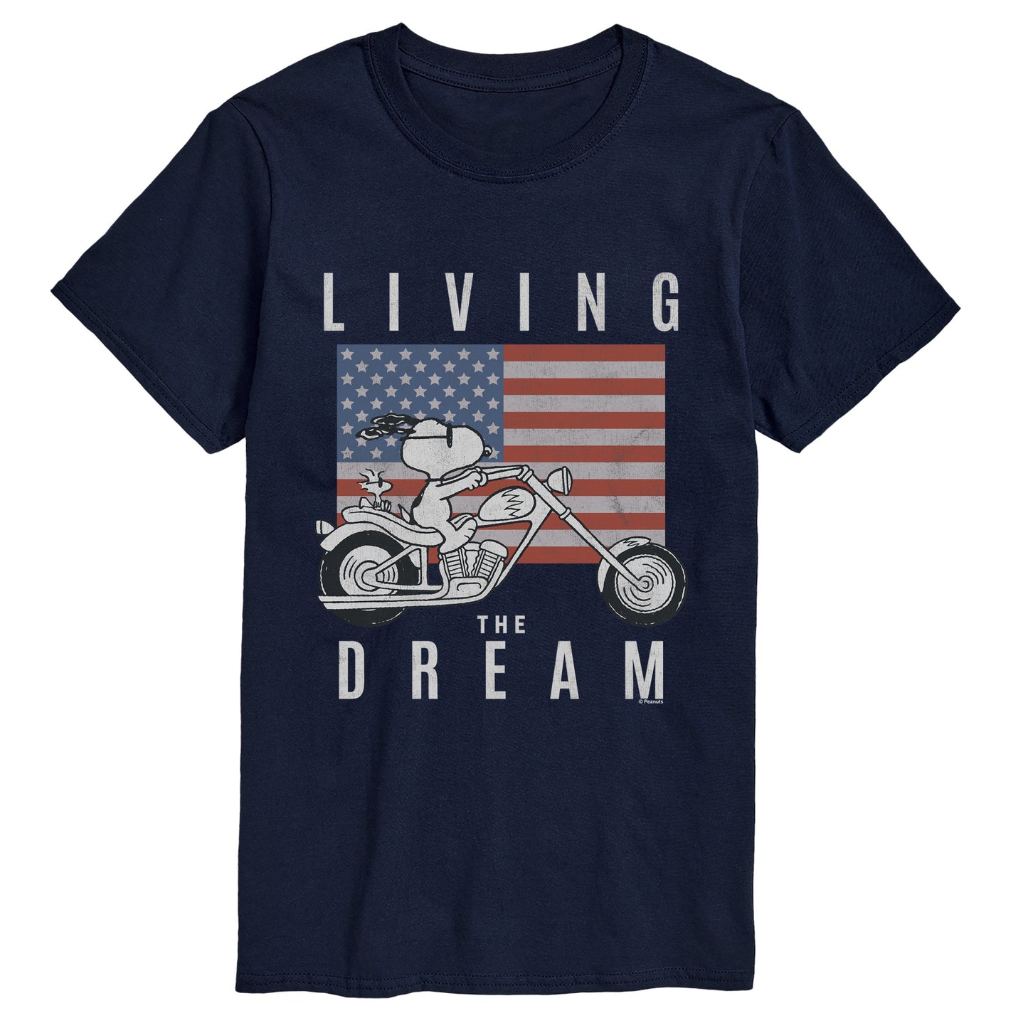 NAVY-