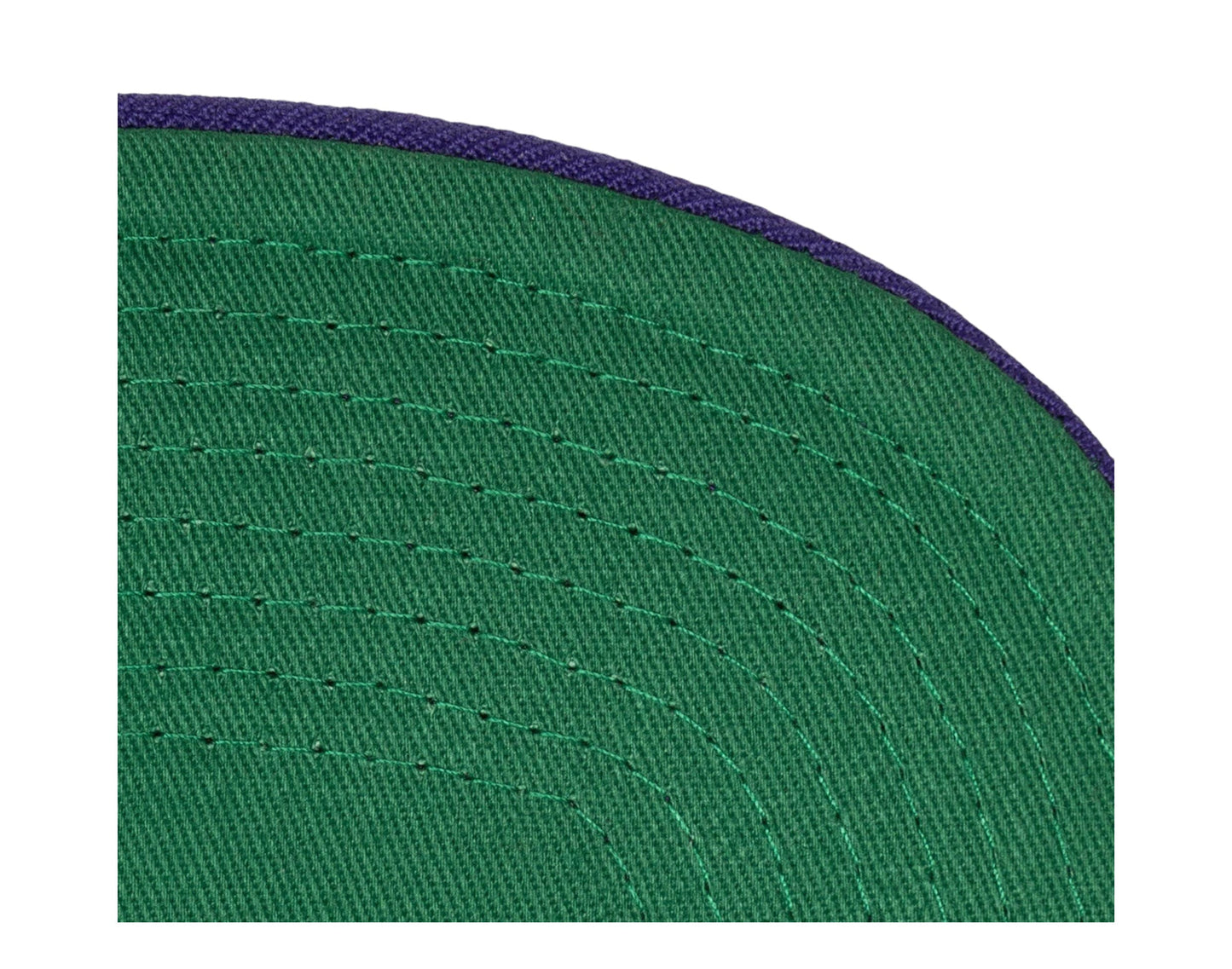 Mitchell & Ness Men's NBA Charlotte Hornets Team 2 Tone 2.0 Snapback