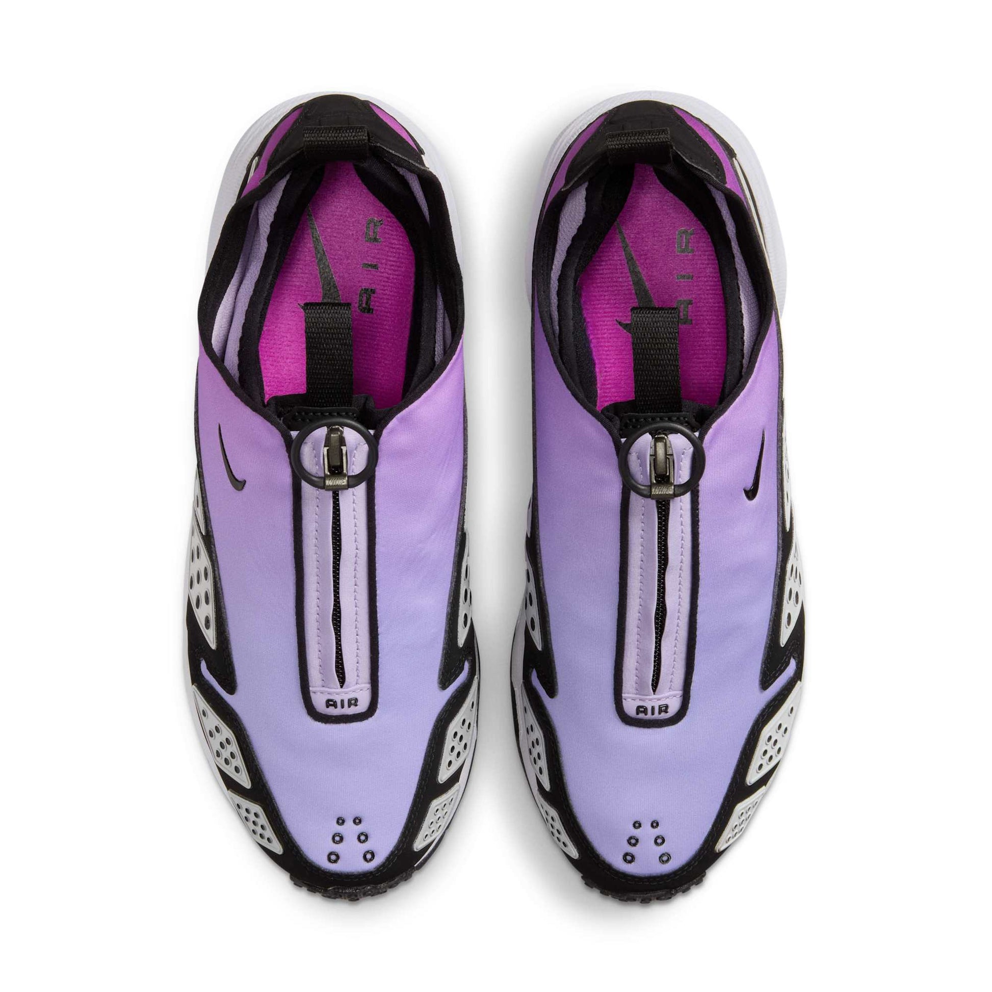 Hyper Violet/Black-White-Hydrangeas-