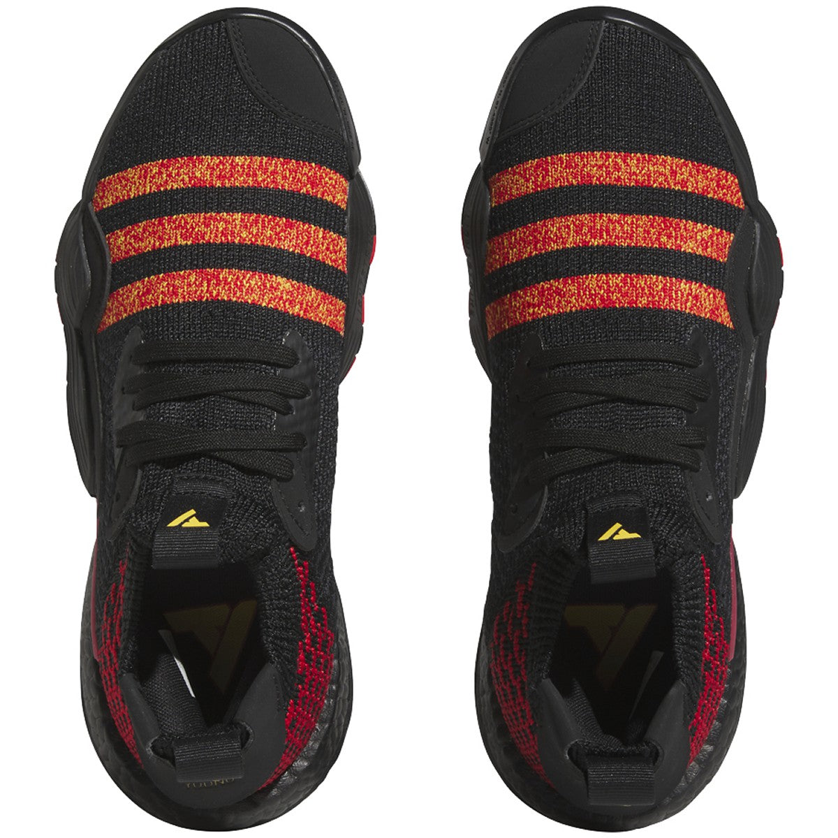 Cblack,Betsca,Bogold-